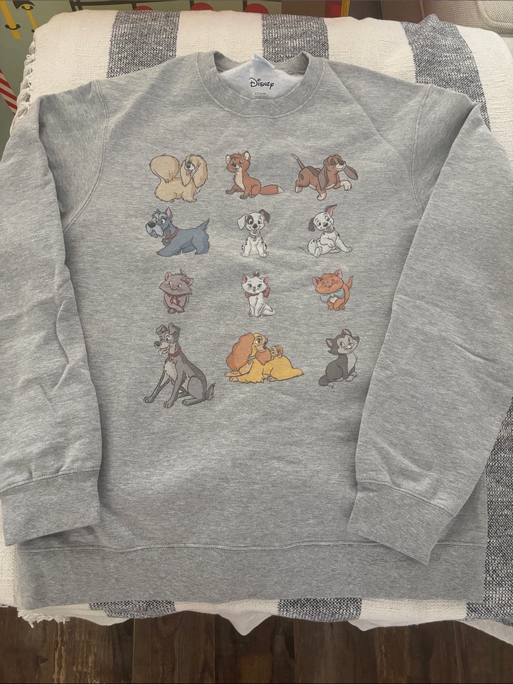 Disney Classic Characters Cats And Dogs Collage Vintage Sweatshirt NWOT
